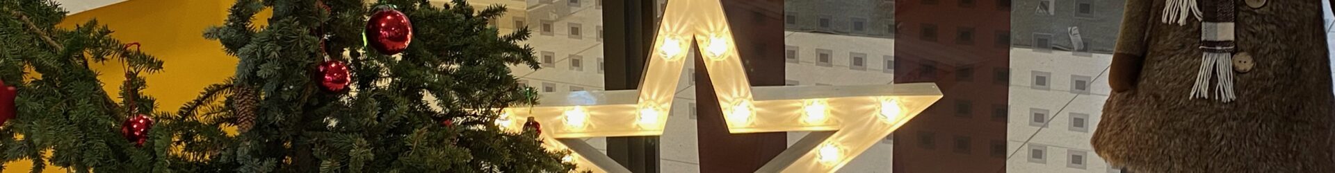 Unterstützen Sie mit Ihren Weihnachtseinkäufen unseren Förderverein